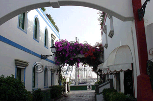 Village Side Street